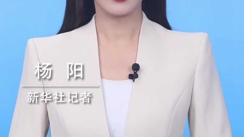 外贸客户关系管理系统：如何选择适合您的解决方案